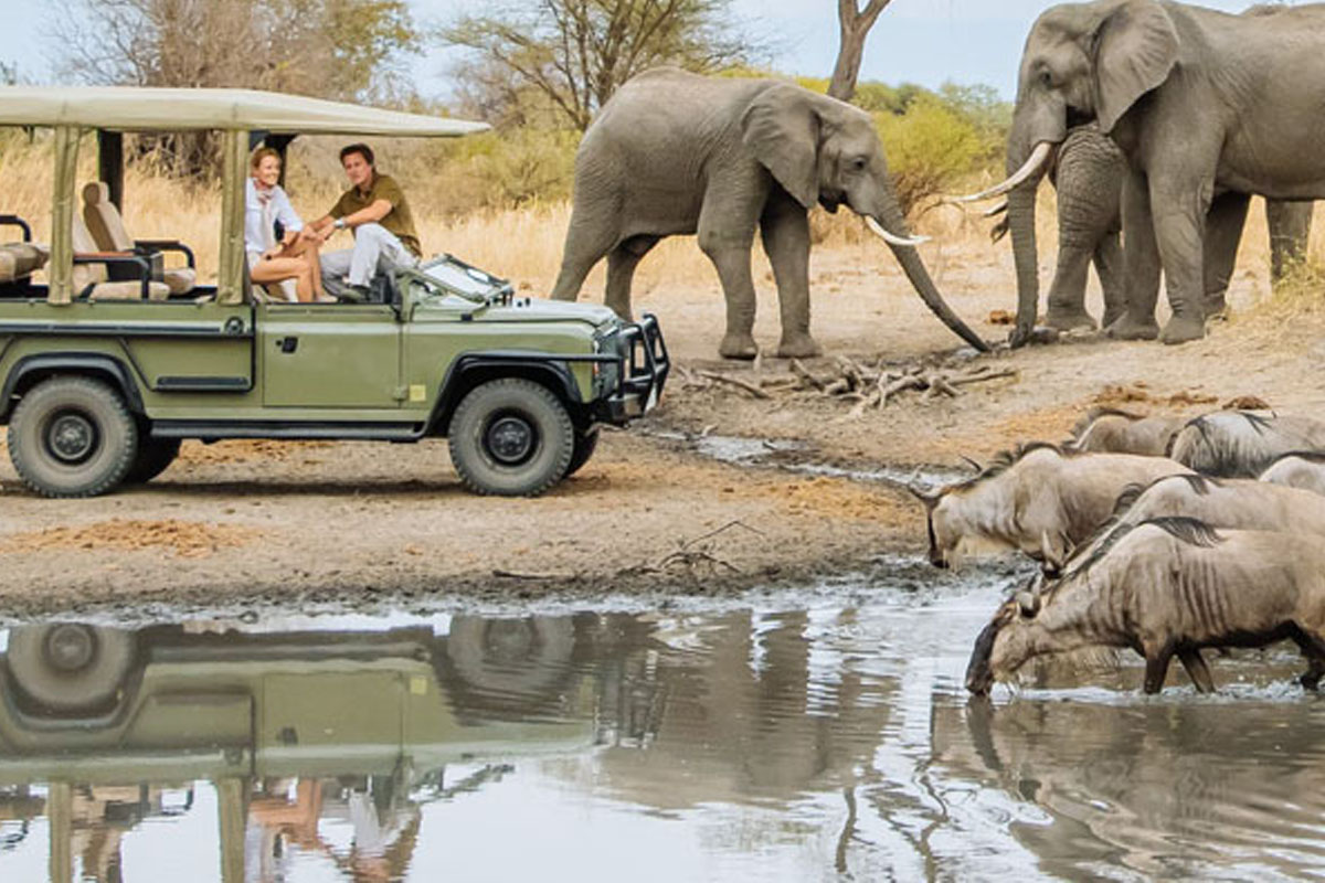Safari Blue Trip
