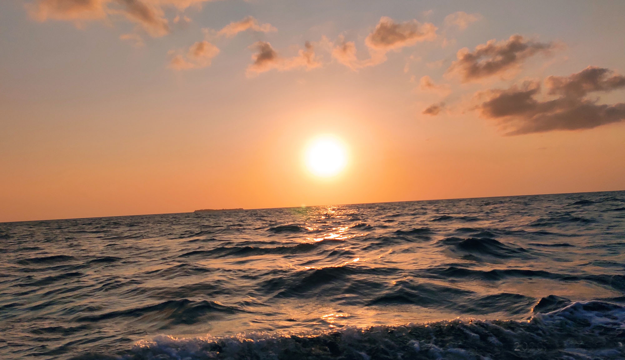 Sunset Dhow Cruise, Mnemba Snorkeling, Swimming with Dolphin